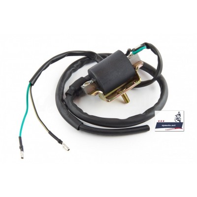 Катушка зажигания + бронепровод Delta, Alpha, Active, Yamaha JOG-50 Котушка запалювання + бронепровід Delta, Alpha, Active, Yamaha JOG-50